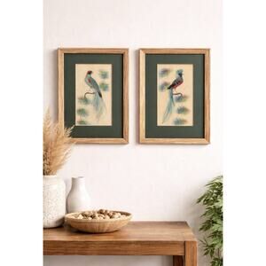 Pair Mid Century Decorative Feather Art Panels Exotic Birds Boho Tropical 8x10